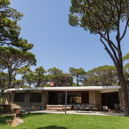 Villa Roccapini Castiglione della Pescaia Zewnętrze zdjęcie