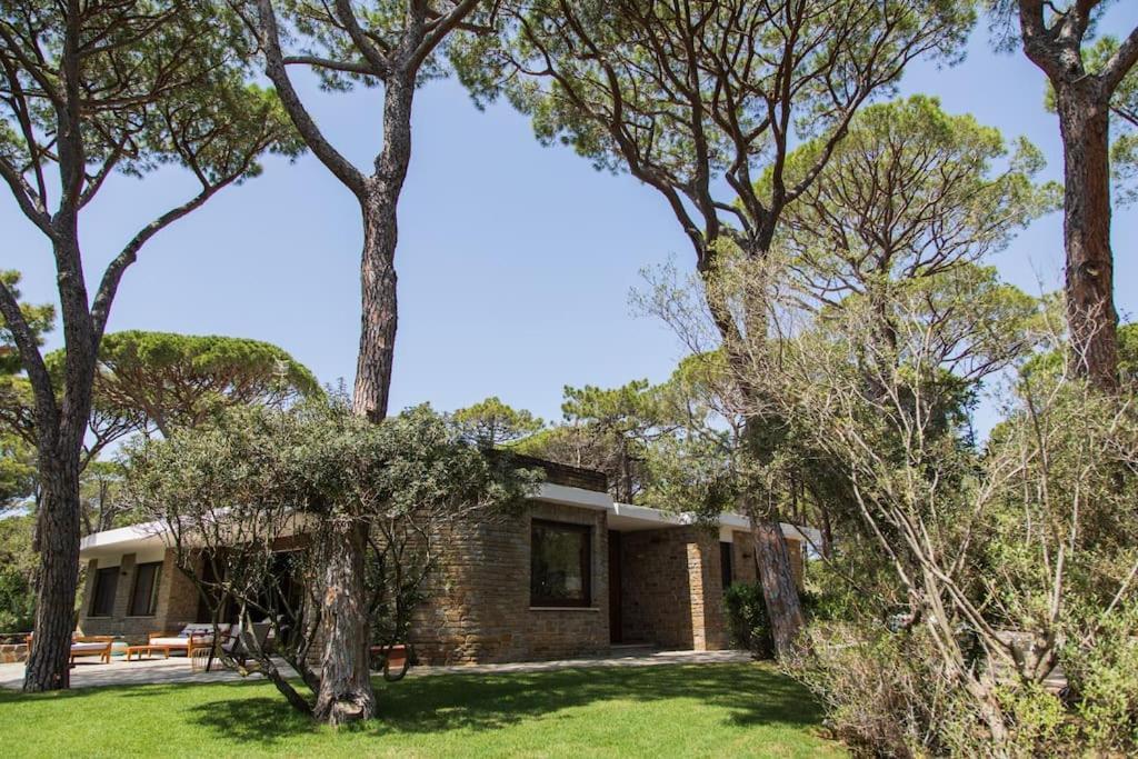 Villa Roccapini Castiglione della Pescaia Zewnętrze zdjęcie