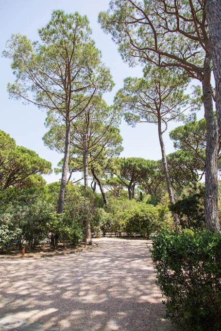 Villa Roccapini Castiglione della Pescaia Zewnętrze zdjęcie