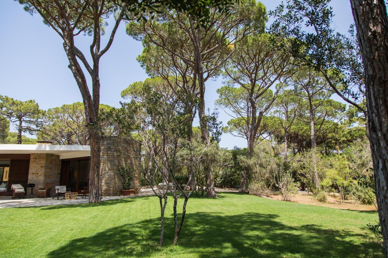 Villa Roccapini Castiglione della Pescaia Zewnętrze zdjęcie